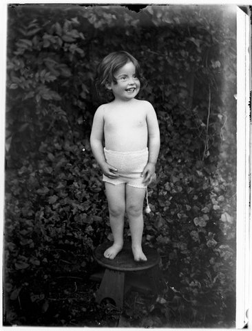 Collection of glass negatives relating to Wahroonga 138 Alma Road St Kilda East Victoria, 1913?